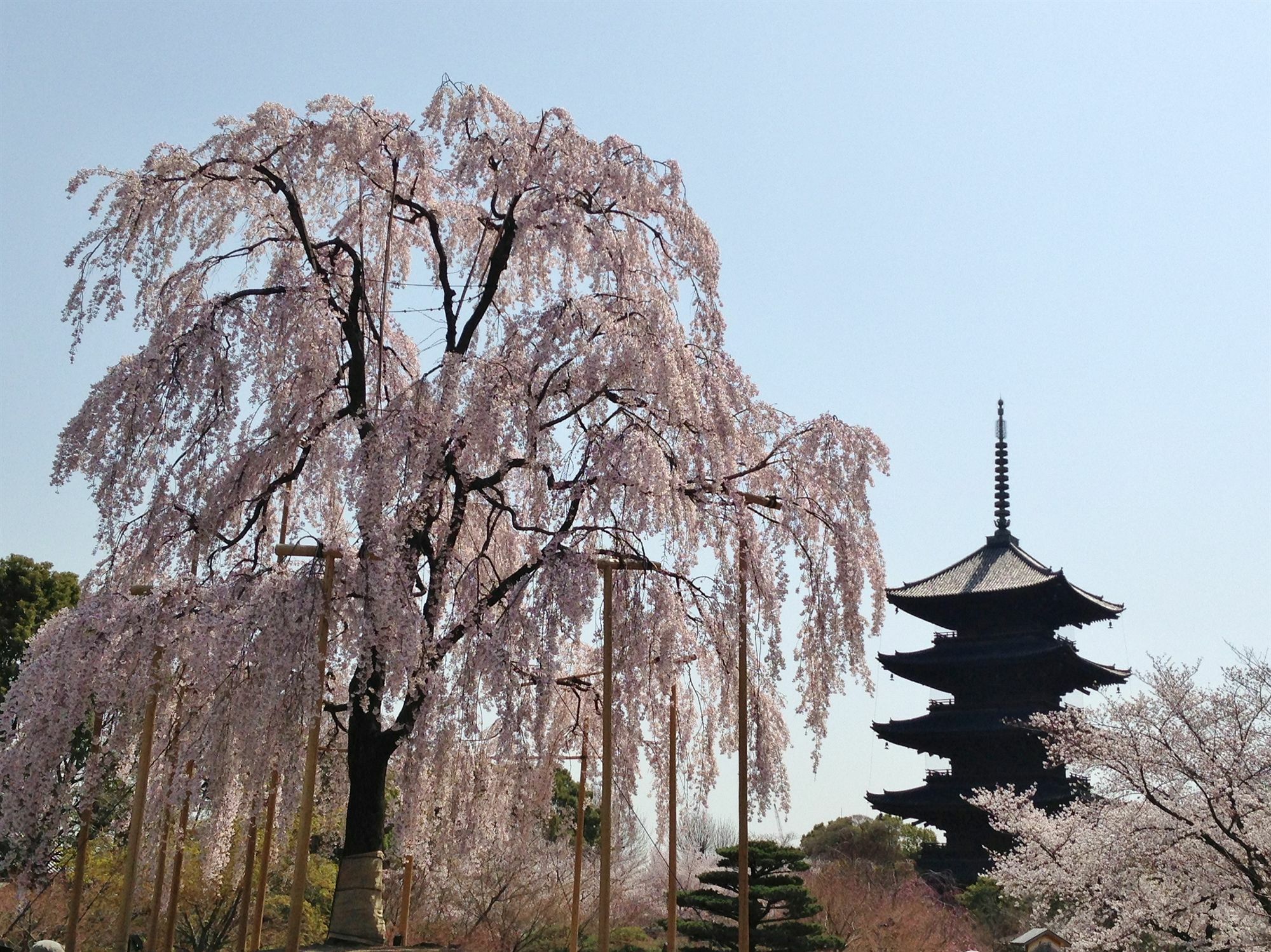 Hotel Livemax Kyoto Gojo Экстерьер фото